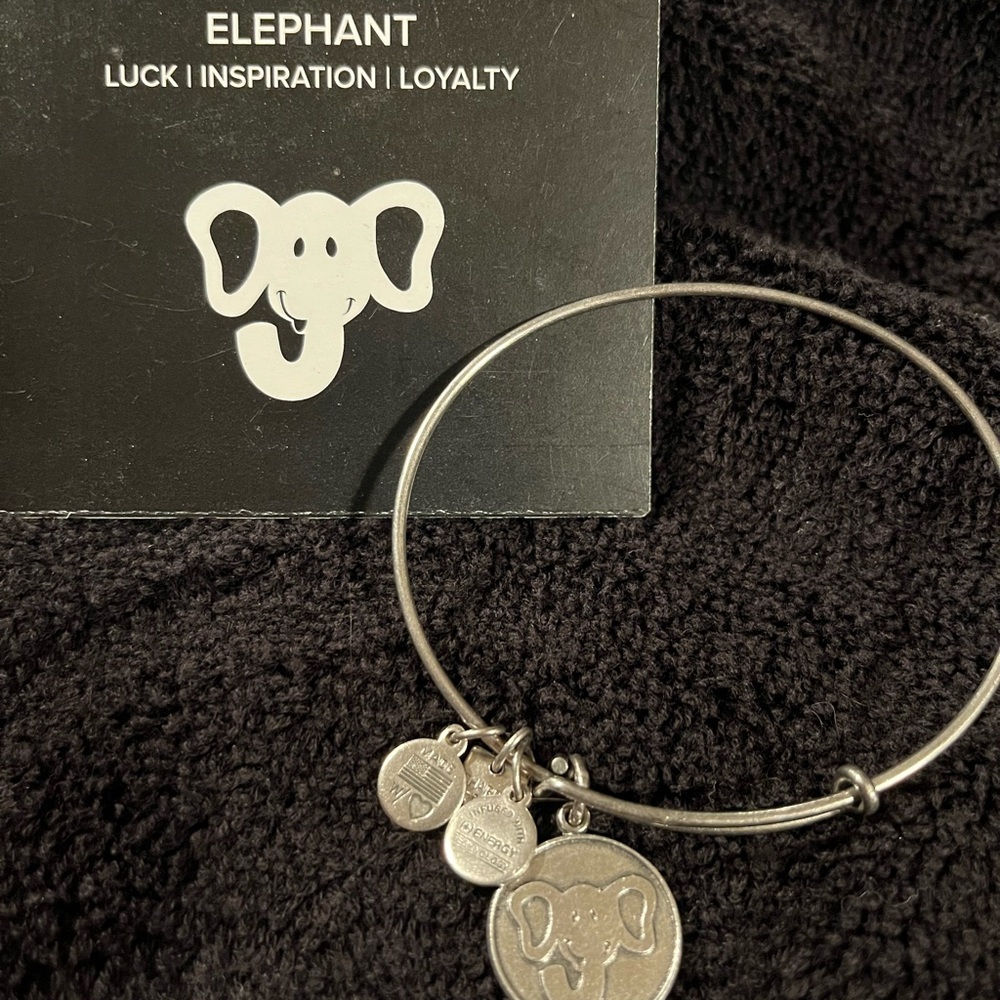 LOT OF 8 pieces ALEX and ANI Bracelets